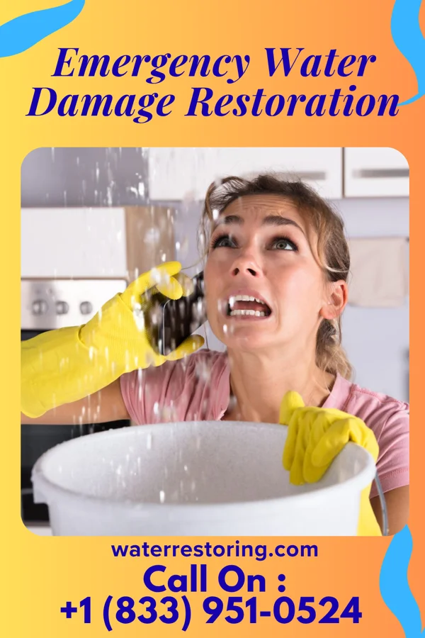 Emergency Water Damage Restoration in Quitaque, TX
